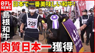 【和牛】品評会で肉質日本一！島根和牛  生産者たちの思い　島根　NNNセレクション