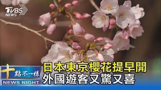 日本東京櫻花提早開 外國遊客又驚又喜｜十點不一樣20230316@TVBSNEWS02