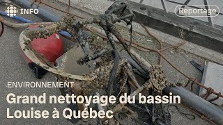 Grand nettoyage du bassin Louise à Québec