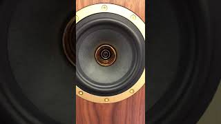 TANNOY AUTOGRAPH MINI OW