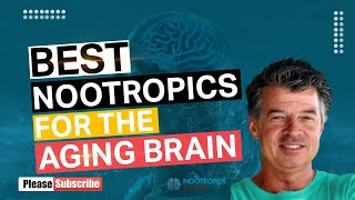 Best Nootropics for the Aging Brain