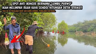 SPOT ANTI BONCOS YAITU 