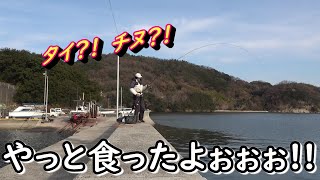 大潮激流の日に大物狙ってみた！