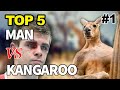 Kangaroo Fights Man | Kangaroo vs Human | Kangaroo Fight | Kangaru 😃