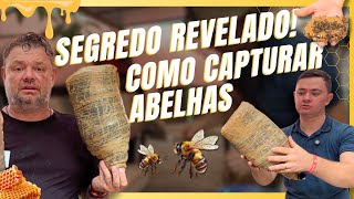 THE SECRET REVEALED! HOW TO CATCH STINGLESS BEES!