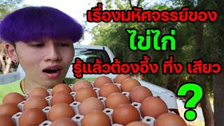 การทดลอง | เรื่องมหัศจรรย์ของไข่ที่คุณรู้แล้วต้องอึ้ง ? (เหลือเชื่อไปเลย)