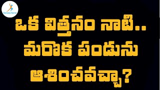 ఒక విత్తనం నాటి మరొక పండును ఆశించవచ్చా? II success secret II