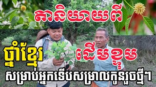 [Wow]តោះស្តាប់លោកតានិយាយពីដើមខ្ទុម ជាថ្នាំខ្មែរដ៏ពូកែបំផុត(ថ្នាំកូនខ្ចី)