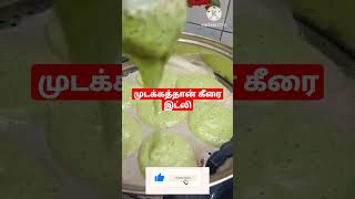 முட்டி வலி, உடம்பு வலியை போக்கும் முடக்கத்தான் கீரை இட்லி #Shorts #youtubeshorts #Viralvideos