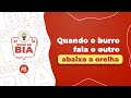 QUANDO O BURRO FALA O OUTRO ABAIXA A ORELHA| ANA BEATRIZ