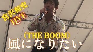 宮沢和史(THE BOOM)ライブ in 大阪　風になりたい　シークレット特別ゲスト　泉州沖縄祭り