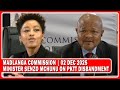 Minister Senzo Mchunu Begins Evidence To Madlanga Commission “PKTT Wasn’t A Permanent Structure”