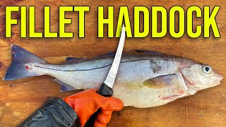 How to Fillet Haddock: Boneless Fillets (Pro Fisherman Tips)