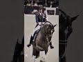 The Amazing Valegro #shorts #horses #dressage