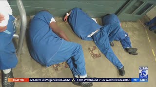 Aclu Calls For Immediate Changes At Barbaric L A County Jails
