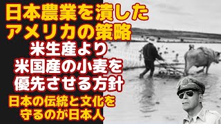 食料こそ国防！日本農業を弱体化させたアメリカの戦略とは？