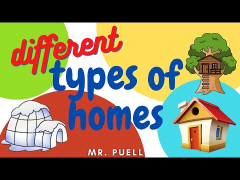 What are the types of shelter?