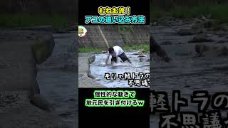 真剣に魚を追い込む姿が不思議すぎて… #shorts #釣りよかでしょう #釣りよか #釣り #fishing #鮎釣り #天然アユ #透明な川