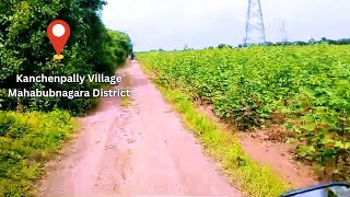 4 Acres Agricultural land for sale in Mahabubnagar District, Telangana || 38 Lakhs Per Acer