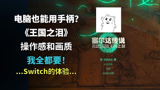 【漫游挨踢】Switch级操作体验！电脑手柄操控《王国之泪》方法