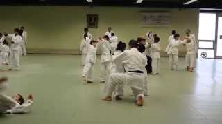 阿丹寶哥哥初學合氣道 1 of 3 Aidan learns some Aikido movements