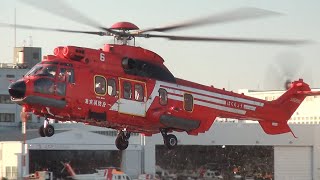 東京消防庁ヘリコプター「はくちょう」帰投/TFD Helicopter Airbus Helicopters EC225LP Super Puma Mk2+ JA62HC Landing