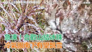 急凍！合歡山結冰珠　冷氣團南下有望飄雪｜娛樂星世界