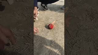 Ball ready after burning in fire 🔥 ⚾ | #cricket #viral #ball #trending