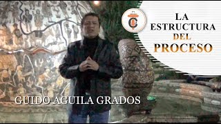 LA ESTRUCTURA DEL PROCESO - Tribuna Constitucional 76 - Guido Aguila Grados