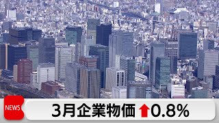 3月の企業物価指数 0.8％上昇 伸び率拡大２カ月連続（2024年4月10日）