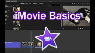 iMovie Basics 10.1.6 and 10.1.8