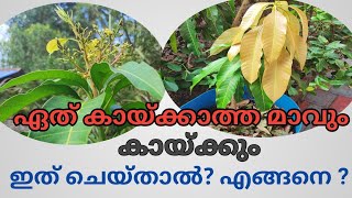 ഇത് ഒരു പ്രാവശ്യം ഉപയോഗിച്ച് നോക്കുക അത്ഭുതം കാണാം | ഏത് പൂക്കാത്ത മാവും പ്ലാവും  പൂക്കും കായ്ക്കും