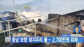 [대전뉴스]충남 보령 돼지우리 불… 2,700만원 피해