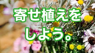 【ガーデニングを楽しもう！】寄せ植え動画です。