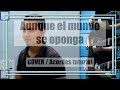 Aunque el mundo se oponga - Jovanny Cadena | Tutorial de acordes | Cover | Luis Reiba