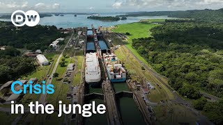 Panama - Navigating crises at the canal | DW Documentary