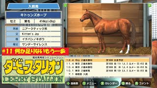 ＃11【ダービースタリオン/Switchダビスタ】何か足りないもう一歩