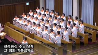 [서림교회] 주님의 날개 아래에 / 한나찬양대 / 2019년 6월 5일 수요기도회