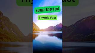 Daily World Facts 🌍  Fun and interesting daily fact videos 💫 #shorts #facts #daily