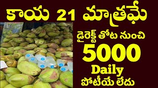 వారానికి 50,000 నెలకు 2 లక్షలు లాభం Small Business Ideas telugu lo