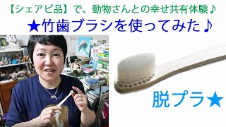 竹歯ブラシを使ってみた★脱プラ【シェアピ品】で、動物さんとの幸せ共有体験♪