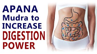 Apana Mudra Mudra to Increase Digestion Power |  Constipation  Mudras | Nature and Yoga