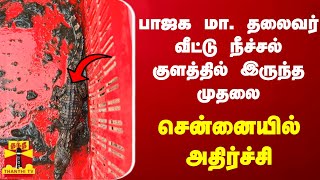 பாஜக மா. தலைவர் வீட்டு நீச்சல் குளத்தில் இருந்த முதலை... சென்னையில் அதிர்ச்சி