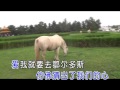 琪琪格 鄂尔多斯恋曲