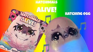 ASMR Hatchimals Alive Mystery Hatch - Pufficorn and Draggle (Unboxing and Hatch them!)