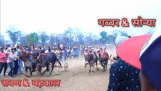 रावण आणि महाकाल विन 👑🔥 विरुद्ध गाडी 👎 वासर चा गब्बर आणि कल्याण चा सोन्या 👎