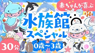 【赤ちゃんが泣きやむ】水族館スペシャル🐬海の生き物🐧👶ö│赤ちゃんが喜ぶ歌♪音楽♫│笑う│乳児・幼児向け🌲0歳1歳2歳3歳【海の生き物アニメ】