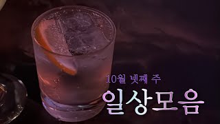 10월 넷째주 일상모음•한국식품영양과학회 첫 출장•누가 광주에서 청주공항을 가요?