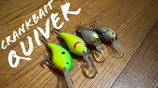 🔥Summer Time Crank Baits 🔥 ( Harris Chain )