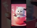 zoom out cute cats pt39 infinitezoom youtubeshorts shorts catlover catvideos endlesspaper